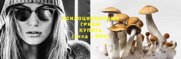 прущая мука Куйбышев